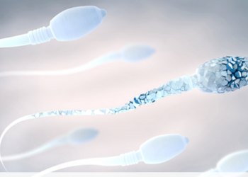 Meshkuj bëni kujdes, ky produkt që e përdorni përditë po ju dëmton spermën