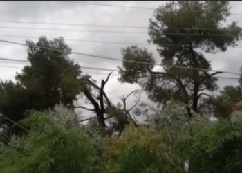 Era e tmerrshme, thirrje nga Ministria e Mbrojtjes: Mos qëndroni afër pallateve dhe godinave të larta