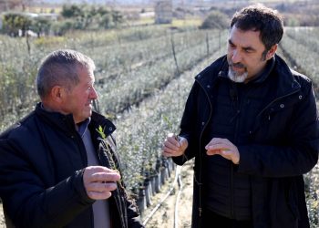 Ministri i Bujqësisë thirrje fermerëve: Mbillni vetëm fidanë të çertifikuar nga Enti Shtetëror i Farave (FOTO)