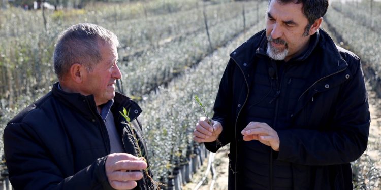 Ministri i Bujqësisë thirrje fermerëve: Mbillni vetëm fidanë të çertifikuar nga Enti Shtetëror i Farave (FOTO)