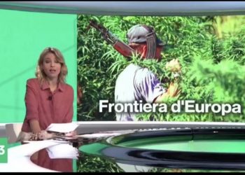 RAI3 nxjerr raportin sekret: Mbjellja e kanabisit në Shqipëri u rrit me 1200% (VIDEO)