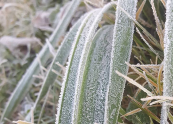 Paralajmërimi i sinoptikanëve, ja çfarë ndodh me motin nesër