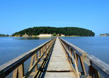 Mafia e tokave në bregdet, gjykata dënon avokatin me 5.4 vite burg