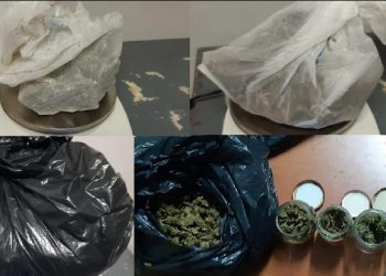 S’ka të sosur kanabisi në Tepelenë, zbulohen 50 kg. Shpallet në kërkim i zoti shtëpisë