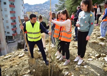 Sezoni i pyllëzimit, a bëhen ullinjtë në Gjirokastër?! (FOTO)