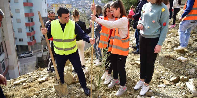 Sezoni i pyllëzimit, a bëhen ullinjtë në Gjirokastër?! (FOTO)