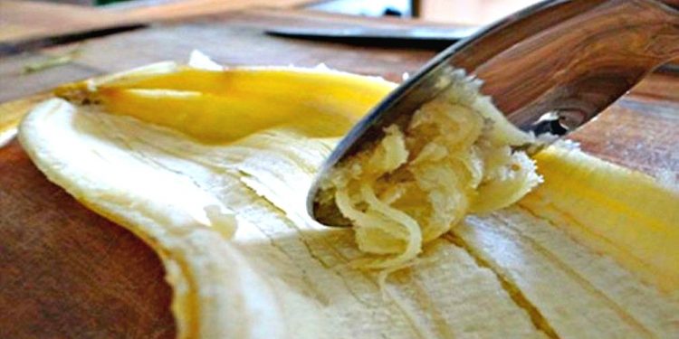 Pasi të shikoni se çfarë bën lëvorja e bananes, nuk keni për ta hedhur më kurrë