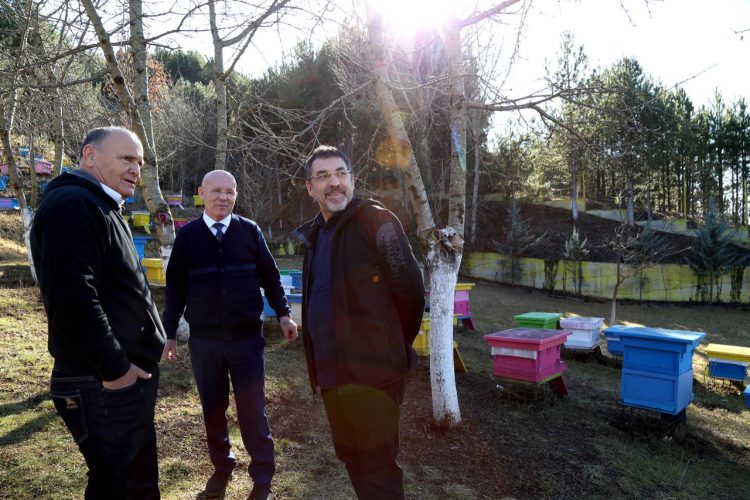 Ministri Çuçi: Presim të nisim eksportin e mjaltit drejt Kinës, subvencionojmë bletarinë edhe këtë vit (FOTO)