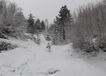 Moti, vijon ulja e temperaturave