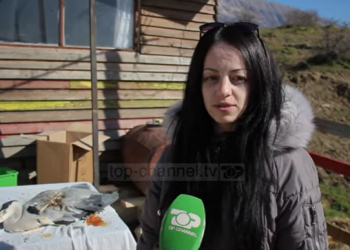 Shkelet moratoriumi në Gjirokastër, vijon gjuetia e paligjshme (VIDEO)