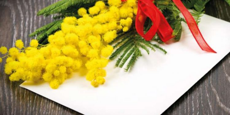 5 gra të vrara në 2 muaj/ Si e gjeti Shqipërinë ky 8 Mars