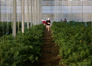 Ministri Çuçi: Nuk do të ketë mungesë ushqimesh në tregje