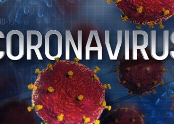 Mitet për koronavirusin/ Nga moti i ftohtë tek konsumi i hudhrave
