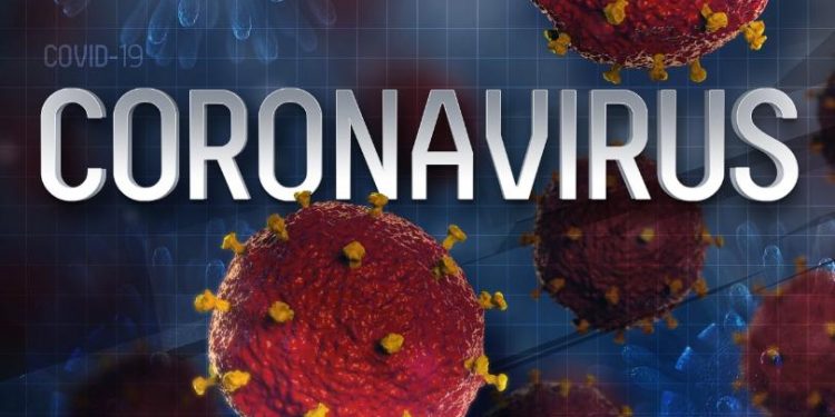 Mitet për koronavirusin/ Nga moti i ftohtë tek konsumi i hudhrave
