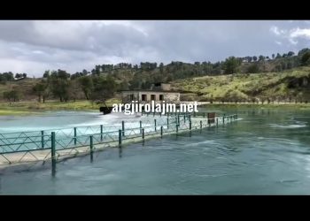 Reshjet në Gjirokastër, Viroi rrezikon të dalë nga shtrati (VIDEO)