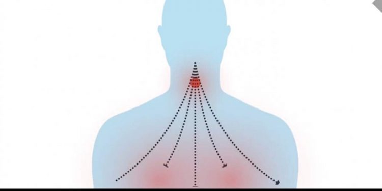 VIDEO/ Shihni çfarë i ndodh organizmit tonë teksa hyn koronavirusi
