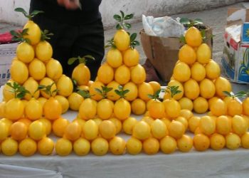 Emergjenca nga koronavirusi/ Çmenden çmimet: Limonët e portokallet mbi 250 lekë/kg …nëse gjenden