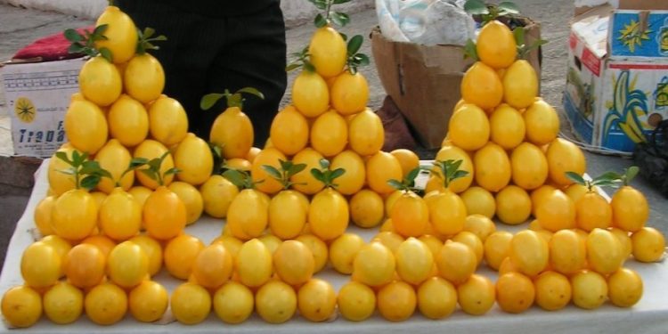 Emergjenca nga koronavirusi/ Çmenden çmimet: Limonët e portokallet mbi 250 lekë/kg …nëse gjenden