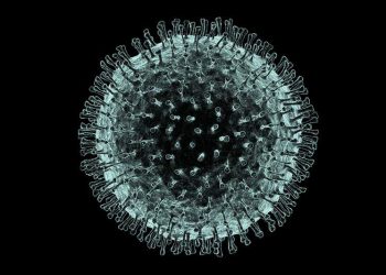 Pikëpyetjet që koronavirusi ka ngritur në të gjithë botën