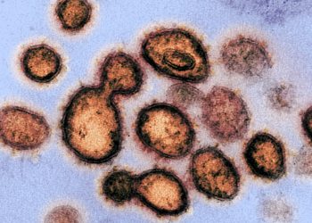 OBSH publikon katër trajtimet që mund të kurojnë koronavirusin