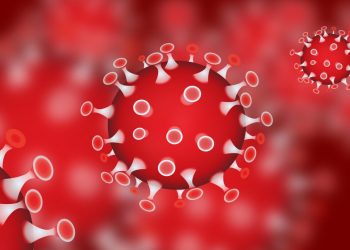 Hollanda thotë se ka gjetur ilaçin kundër koronavirusit (Detajet)