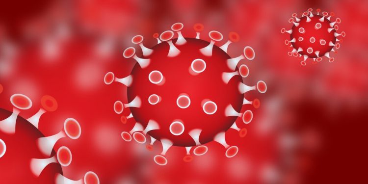 Hollanda thotë se ka gjetur ilaçin kundër koronavirusit (Detajet)