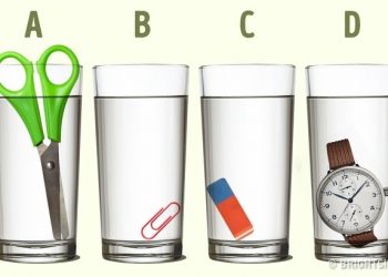 Vini inteligjencën në punë! Gjeni cila gotë ka më shumë ujë