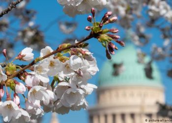 Koronavirusi/ Çfarë rreziqesh pritet të sjellë vera në Evropë?