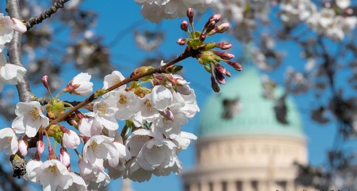 Koronavirusi/ Çfarë rreziqesh pritet të sjellë vera në Evropë?