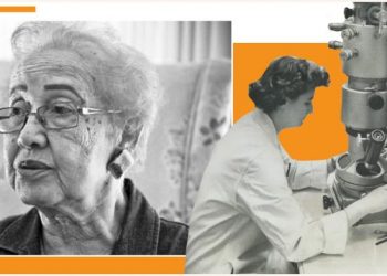 Gruaja që zbuloi koronaviruset dekada më parë, por që u injorua