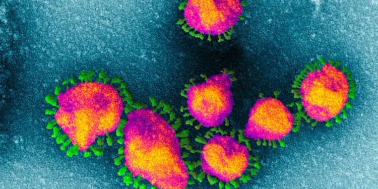 Vëzhgimet e reja, ja çfarë i bën trupit tonë Koronavirusi