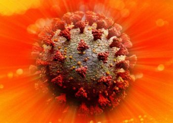 Rrezet e diellit e shkatërrojnë virusin shpejt, por ja çfarë paralajmërojnë ekspertët