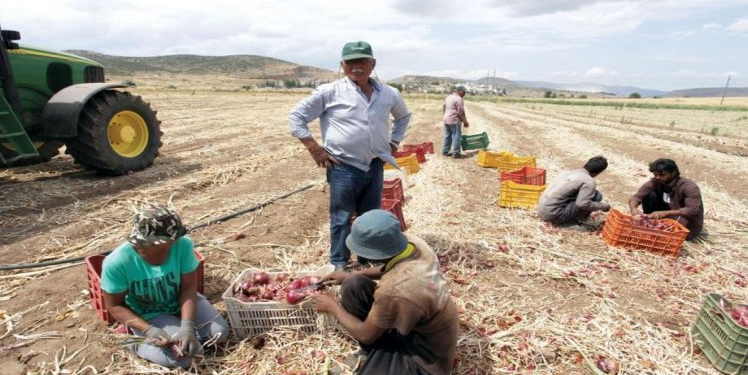 Bujqësia në krizën e Covid, Greqia zgjat me 6 muaj lejet për punëtorët sezonalë
