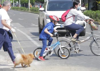 Edhe për shëtitjen e qenit duhet leje tek E-Albania