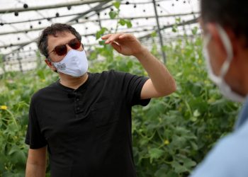 Kriza e Covid nuk prek eksportet në bujqësi, Çuci: 14% rritje gjatë muajit prill 2020 (FOTO)