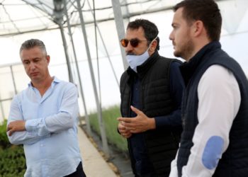 Nisin aplikimet për subvencionet në bujqësi, Çuçi tregon sektorët që përfitojnë mbështetje (FOTO)