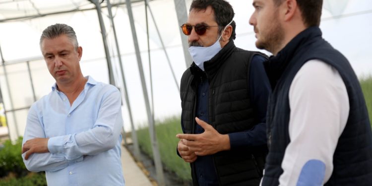 Nisin aplikimet për subvencionet në bujqësi, Çuçi tregon sektorët që përfitojnë mbështetje (FOTO)