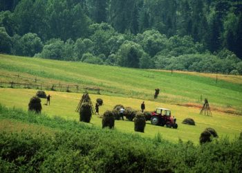 Greqia hap kufijtë për 10 mijë shqiptarë, punë sezonale PA VIZA. Ja si të aplikoni