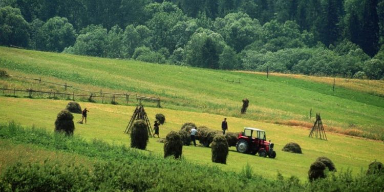 Greqia hap kufijtë për 10 mijë shqiptarë, punë sezonale PA VIZA. Ja si të aplikoni