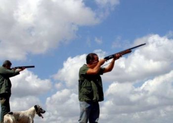 Vijon gjuetia e paligjshme, gjahtarët shfrytëzojnë pandeminë për të masakruar kafshët (FOTO)