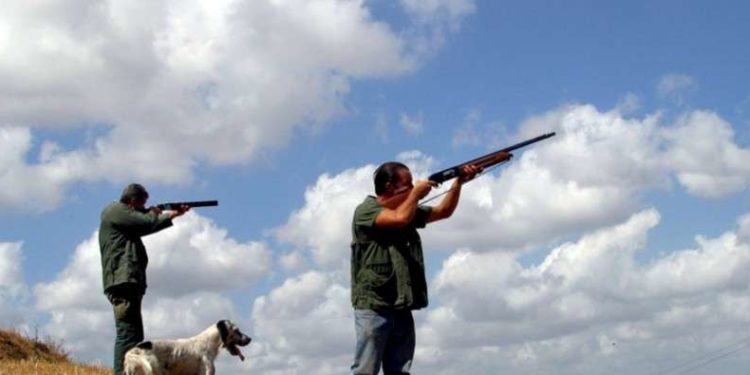 Vijon gjuetia e paligjshme, gjahtarët shfrytëzojnë pandeminë për të masakruar kafshët (FOTO)