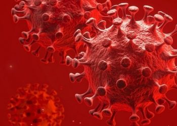 Studimi amerikan zbulon vitaminën që ndihmon kundër koronavirusit