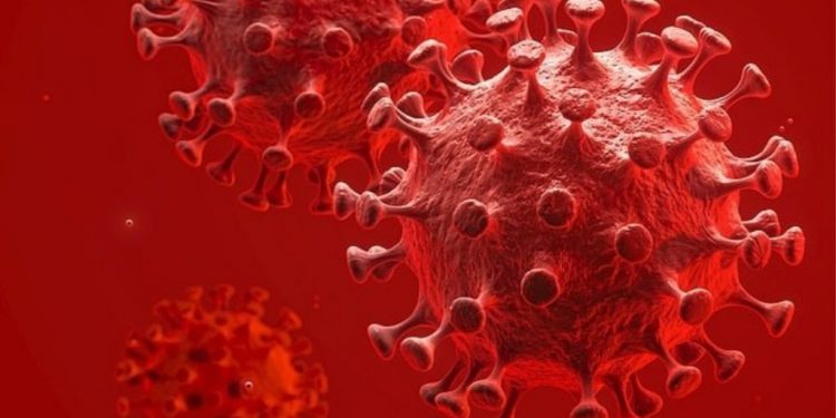 Studimi amerikan zbulon vitaminën që ndihmon kundër koronavirusit