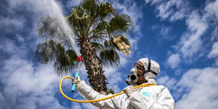LAJM I MIRË nga shkencëtarët rusë: Mbi 30°C, koronavirusi ndalon së infektuari. Zhduket për punë ditësh? Flasin ekspertët
