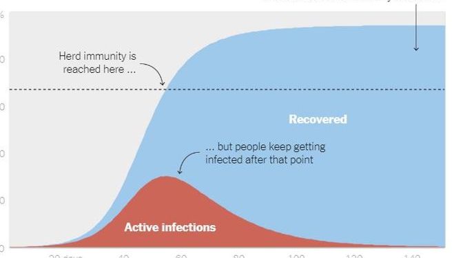 Coronavirusi/ E vërteta e “imunitetit të tufës” nëse nuk do të kishte fare karantinë