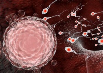 Studimi/ Ja si përhapet koronavirusi edhe seksualisht