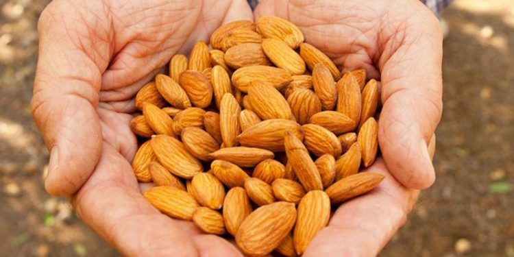 Këto ushqime duhet të konsumojnë meshkujt…