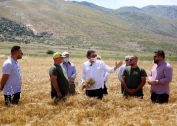 Ferma më e madhe në Shqipëri me drith, Çuçi në Dropull tek “Agro Beqari”: Mbështetje përmes programit IPARD dhe investime në infrastrukturën e ujitje-kullimit (FOTO)