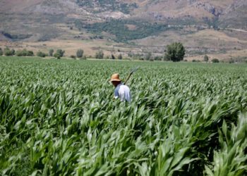 Tritan Shehu ‘tërbohet’ nga video e Ramës për Dropullin: Bashkia e emëruar prej tij ka rritur taksat e ujitjes me 45%
