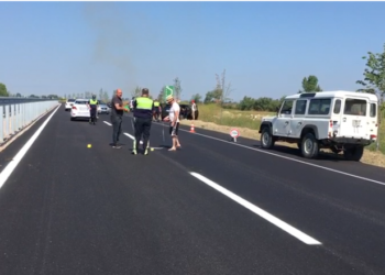 Aksident në Bypass-in e Fierit, një i plagosur